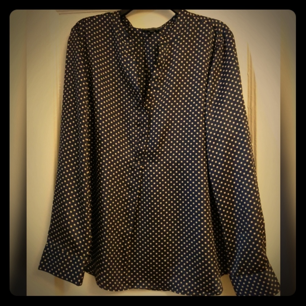 Silky Blue polka-dot blouse